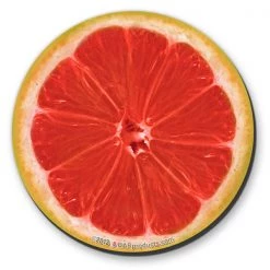 BarProducts.com Citrus Foam Kolorcoat™ Coaster - 4 Inch Round BAR SUPPLIES