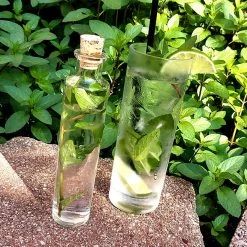 BarProducts.com Cylinder Craft Bartending Bottle W/ Cork - Clear 4 Oz