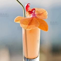 BarProducts.com Master Mixology Gold Plated Cocktail Straws - 4 Pack