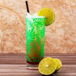 BarProducts.com SPECIAL COLLECTIONS BarConic® Collins Glass- Tropical Leaves Pattern - 9.5 Ounce