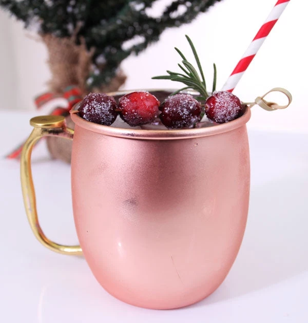 holiday-moscow-mule-drink-bar-set-5.jpg BarProducts.com Holiday Moscow Mule Bar Set