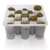 BarProducts.com OliveNest - Fruit Tray Insert Bar Caddies