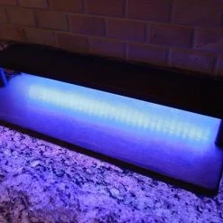 BarProducts.com LED Counter Caddies™ With BLACK Finish - 24