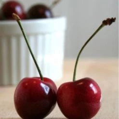 BarProducts.com Luxardo Gourmet Maraschino Cherries – 14oz Jar (400g)