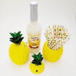BarProducts.com Bartending Bar Sets BarConic® Tiki Pineapple Kit