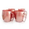 BarProducts.com BAR SUPPLIES Plastic Moscow Mule Mugs - Set Of 4 - 16 Ounce 1 BarProducts.com BAR SUPPLIES Plastic Moscow Mule Mugs - Set Of 4 - 16 Ounce