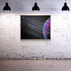 BarProducts.com Roche 24