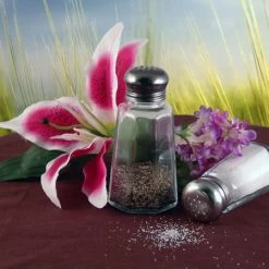 BarProducts.com Salt And Pepper Shakers - Paneled With Mushroom Cap - Packs Of 24 - Size Options