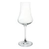 BarProducts.com Tulip Spirit Glass - 8 3/4oz - 6 Pack Master Mixology 1 BarProducts.com Tulip Spirit Glass - 8 3/4oz - 6 Pack Master Mixology