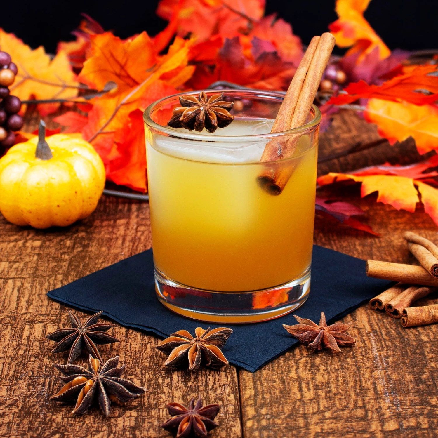 star-anise-scene-cocktail.jpg BarProducts.com SPECIAL COLLECTIONS Dried Star Anise - 8 Ounce