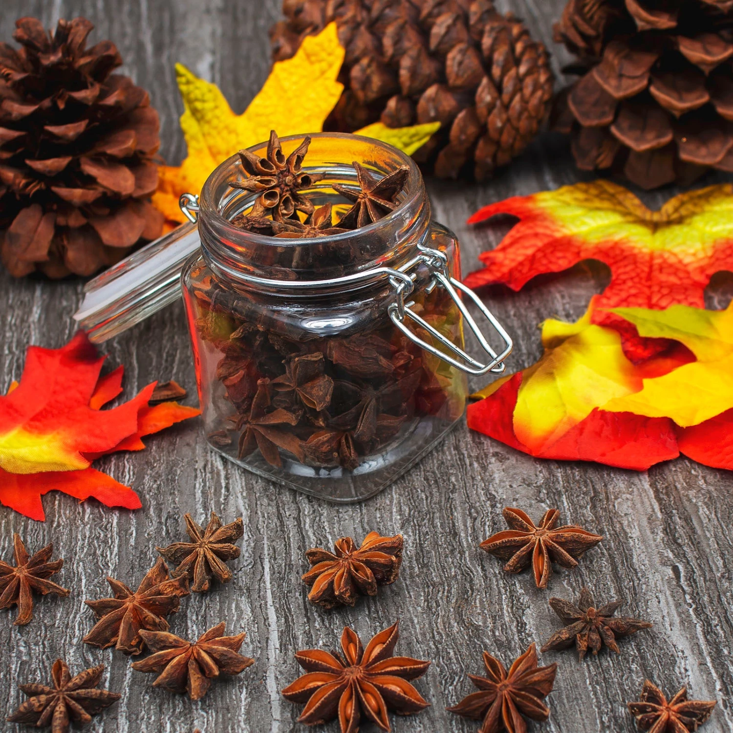 star-anise-scene.jpg BarProducts.com SPECIAL COLLECTIONS Dried Star Anise - 8 Ounce