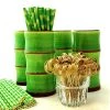 BarProducts.com BAR TOOLS Tiki Mug Drinkware Set - Green Bamboo 1 BarProducts.com BAR TOOLS Tiki Mug Drinkware Set - Green Bamboo