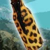 BarProducts.com Bottle Cooler - Zipper Style - Leopard
